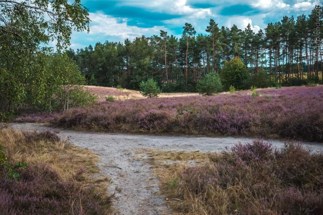Ferienwohnung Ram Hermannsburg Buitenkant foto